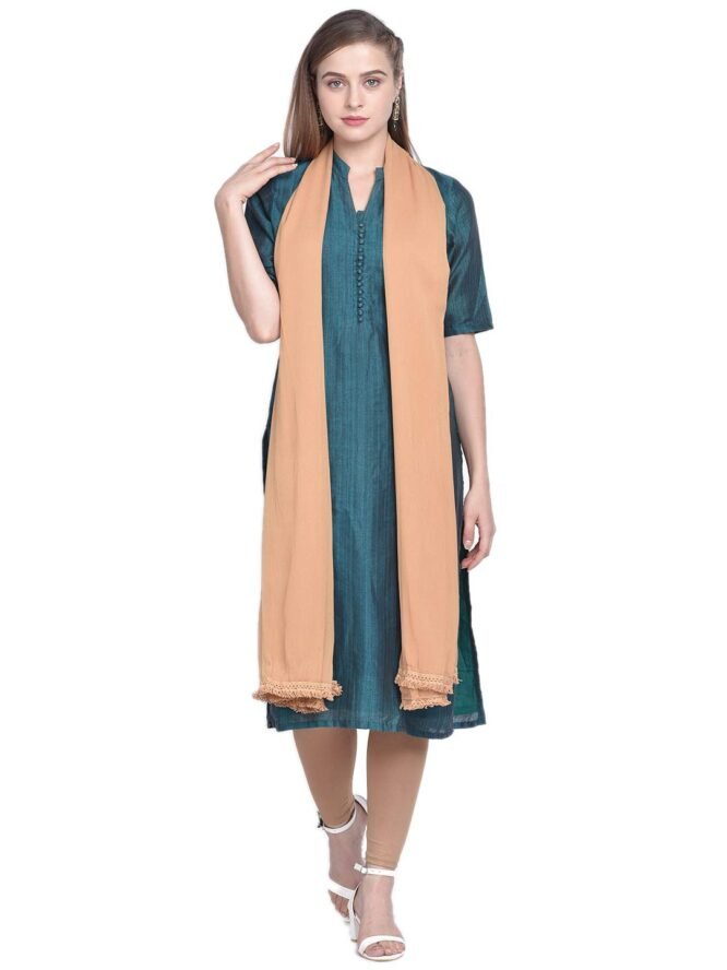 DUPATTA BAZAAR Woman's Beige Chiffon Dupatta.
