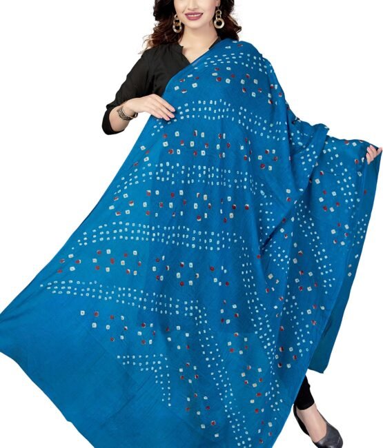 RANI SAAHIBA Cotton Kutchi Bandhani Dupatta (SKRDD1502_Sky Blue)