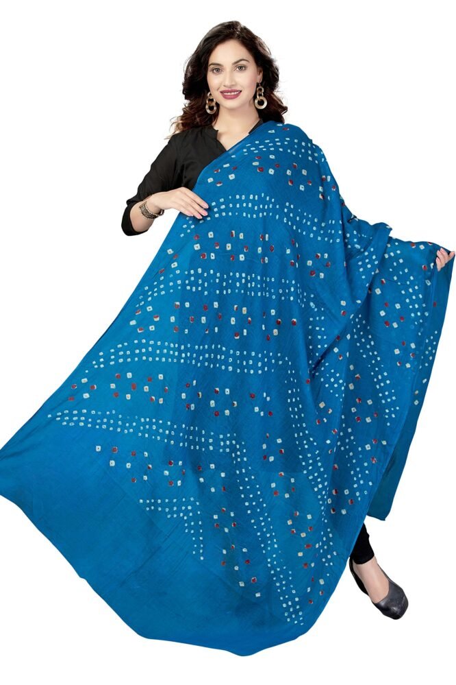 RANI SAAHIBA Cotton Kutchi Bandhani Dupatta (SKRDD1502_Sky Blue)